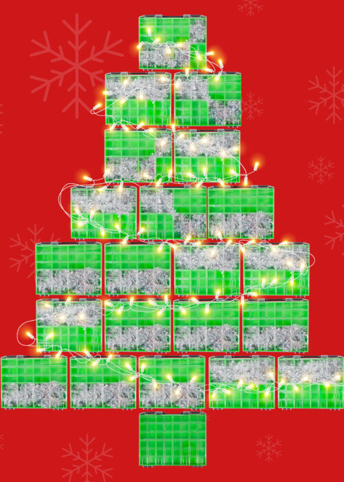 v5_zevim_kerst-2